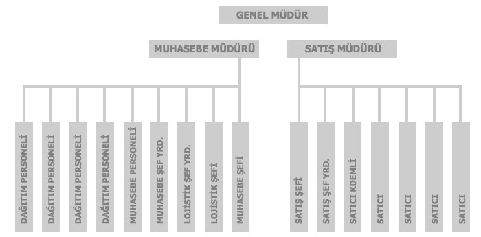 Çağpa Gıda organizasyon şeması